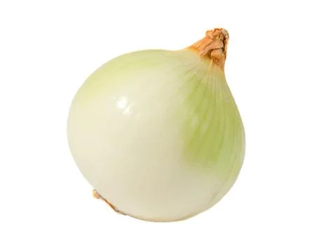 One onion on white background Stock Photos