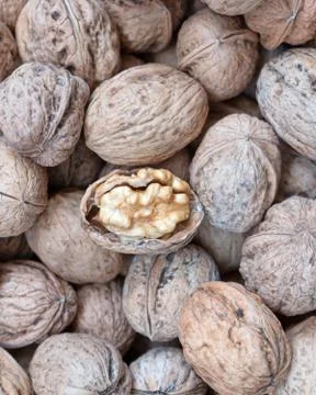 One open walnut on nutshells, tasty background Stock Photos