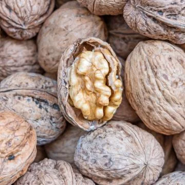 One open walnut on nutshells, tasty background Stock Photos