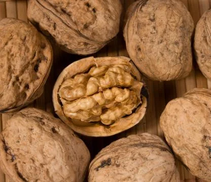 One Open walnut Stock Photos