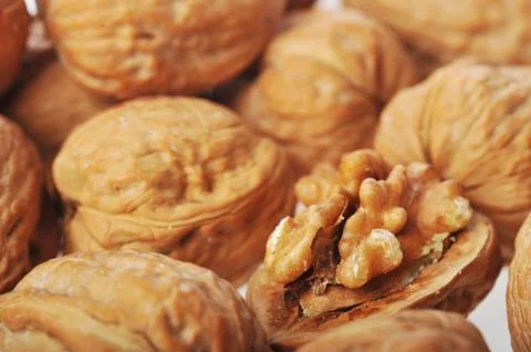 One opened walnut Foto stock