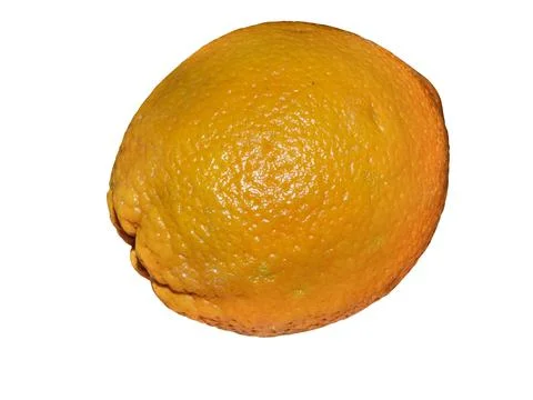 One orange isolated on white background Foto stock