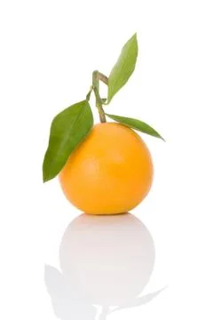 One orange isolated on white. Stock Photos