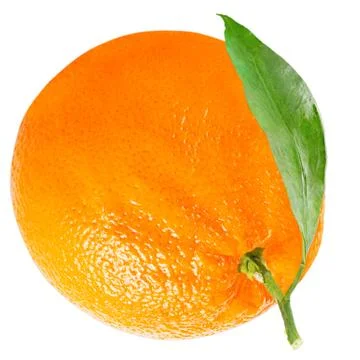 One orange with leaf isolated on white Stock Photos