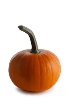One orange pumpkin Stock Photos