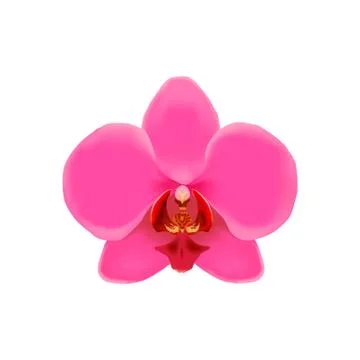 One orchid. Stock Illustration