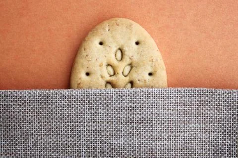 One oval multigrain biscuits on canvas closeup Stock Photos