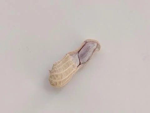 One peanut on a white background. Foto stock