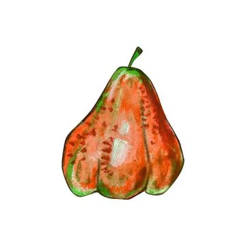 One pear isolated on a white background. Stock Illustration