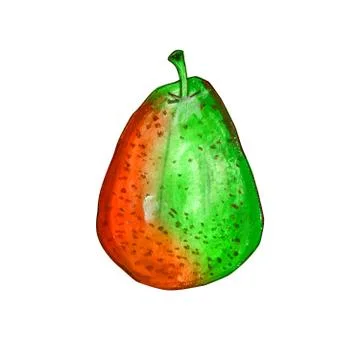 One pear isolated on a white background. Stock Illustration