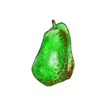One pear isolated on a white background. Stock Illustration