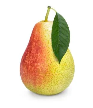 One pear Foto stock
