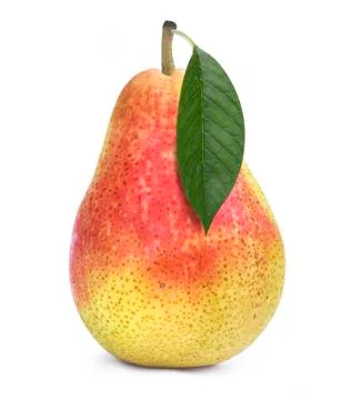 One pear Stock Photos