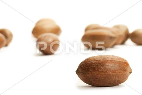 One pecan in front of others Stock Photos