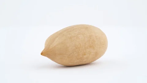One pecan nut in a shell. Rotating on the turntable isolated on the white Stock Footage 95878094