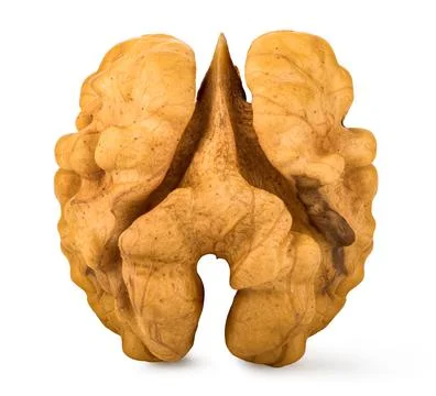 One peeled walnut Stock Photos