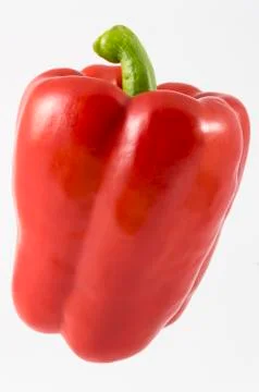 One pepper red Stock Photos