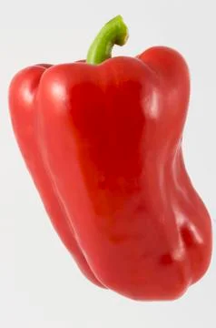 One pepper red Stock Photos
