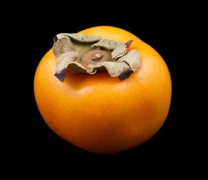 One persimmon fruit Stock Photos