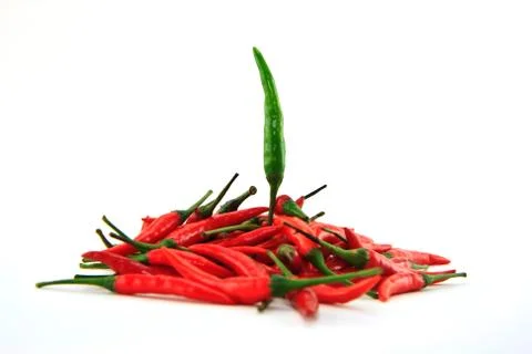 The one Stock Photos