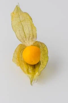 One physalis fruit white background Foto stock
