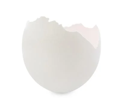 One piece of broken eggshell isolated on white Foto stock