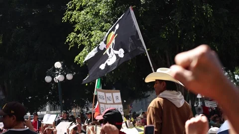 One Piece Pirate Flag Waves Over Crowd at Public Protest in Mexico Stock Footage 342107356
