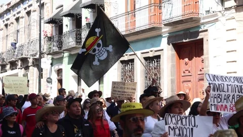 One Piece Pirate Flag Waves Above Crowd During Public Protest in Mexico Stock Footage 342154006