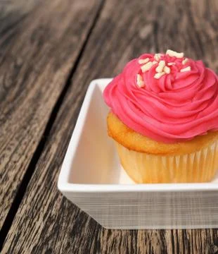 One Pink Cupcake Stock-Fotos
