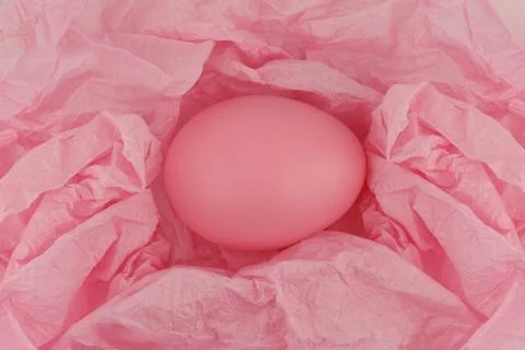 One pink painted Easter egg on crumpled pink wrapping paper. Close-up. Stock Photos
