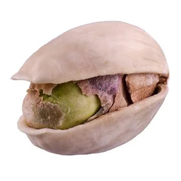 One pistachio nut in shell, isolated on white background Stock Photos