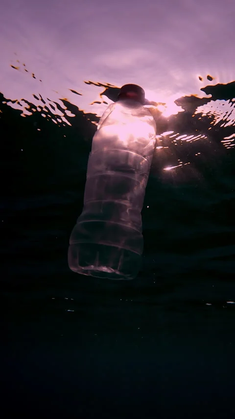 One plastic bottle drifting under surface of water in evening time, slow motion Stock Footage 331799131