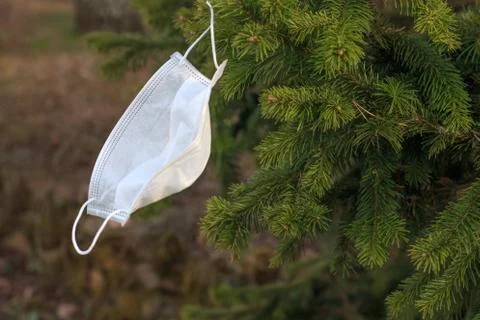 One protective white face mask hanging on a tree Stock Photos