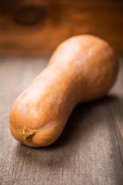 One pumpkin in studio Stock Photos