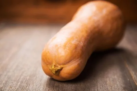 One pumpkin in studio Stock Photos