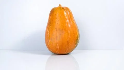 One pumpkin on a white background. The concept of autumn fruits and Thanksgiv Stock Photos