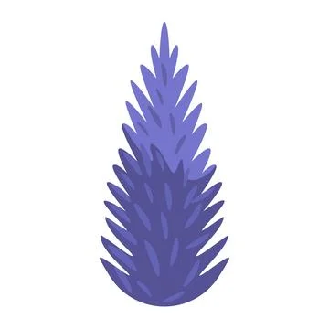 One purple tall pine or spruce, large tree from night park or forest Stock Illustration
