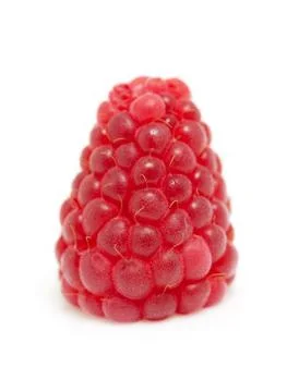 One raspberry in closeup Stock Photos