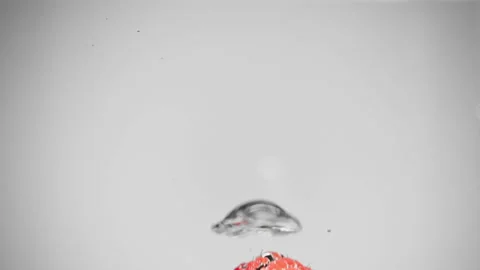 One raspberry falls into the water Stock Footage 269329072