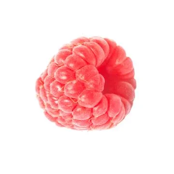 One raspberry isolated on white Stock Photos