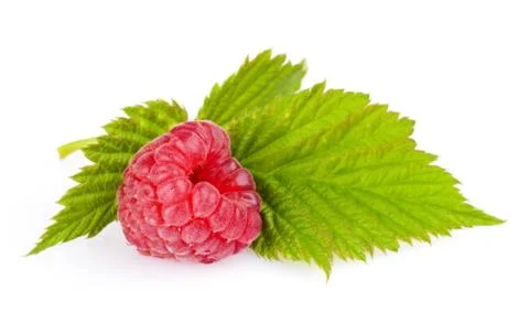 One raspberry with leaf isolated on white background Foto stock