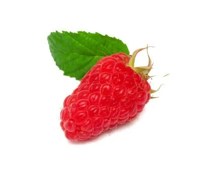One raspberry with leaf 스톡 사진