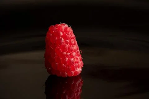 One raspberry lies on a black background close up, fruit and berries Stock Photos