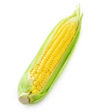 One raw corn cob isolated on white Foto stock