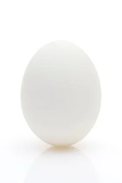 One raw egg Foto stock