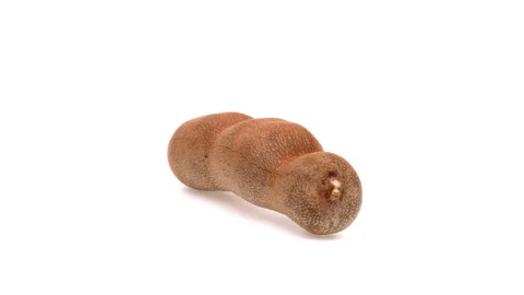 One raw tamarind is rotating. Isolated on white background. Stock Footage 161032439