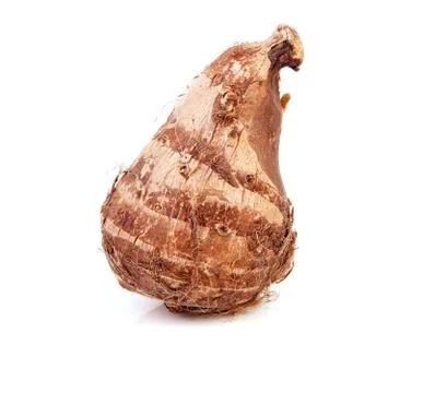 One raw taro root Foto stock