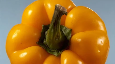 One raw yellow bell pepper Stock Footage 137785642