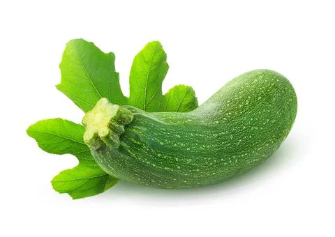 One raw zucchini with leaf isolated Stock Photos