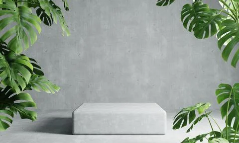 One rectangle podium in grey loft color background with Monstera plant fore.. Stock Illustration